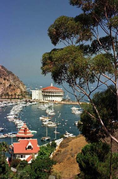 catalina1_jpg.jpg