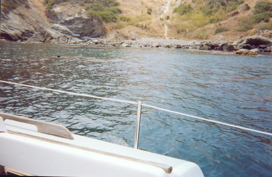 catalina_island11.jpg