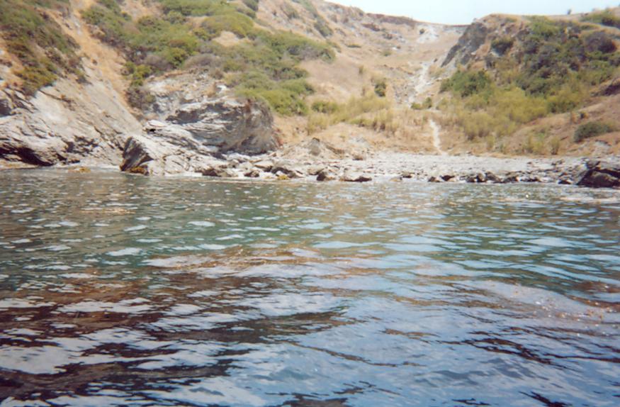 catalina_island13.jpg