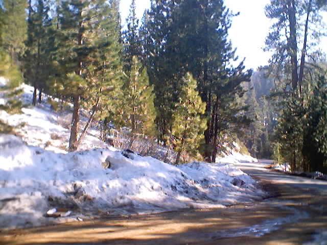 dsc00002.jpg
