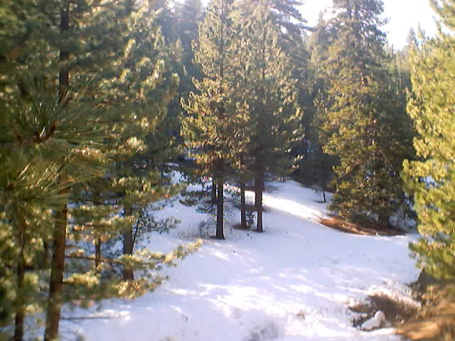 dsc00003.jpg