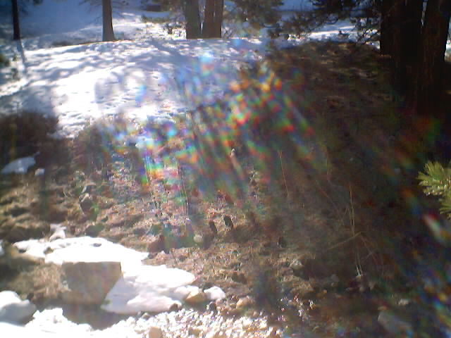 dsc00004.jpg