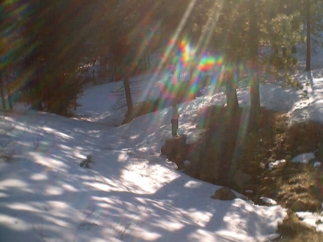 dsc00005.jpg