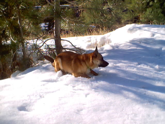 dsc00032.jpg