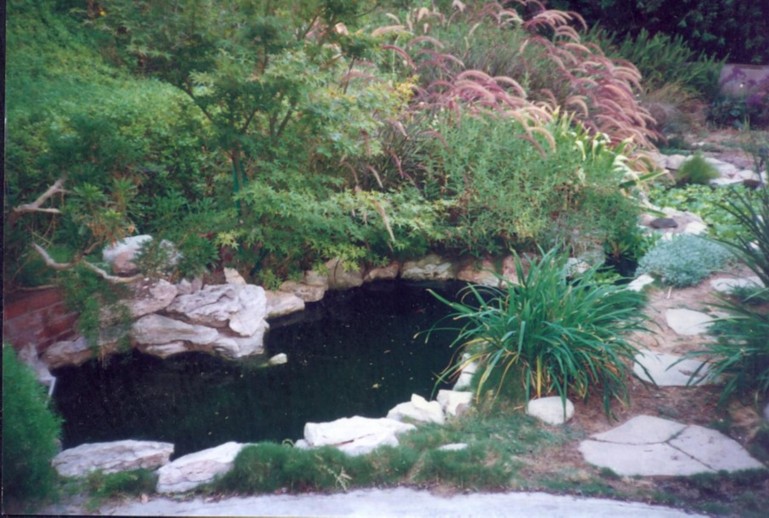 image35.jpg