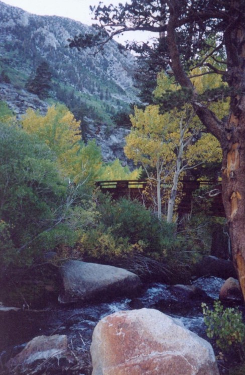 image37.jpg