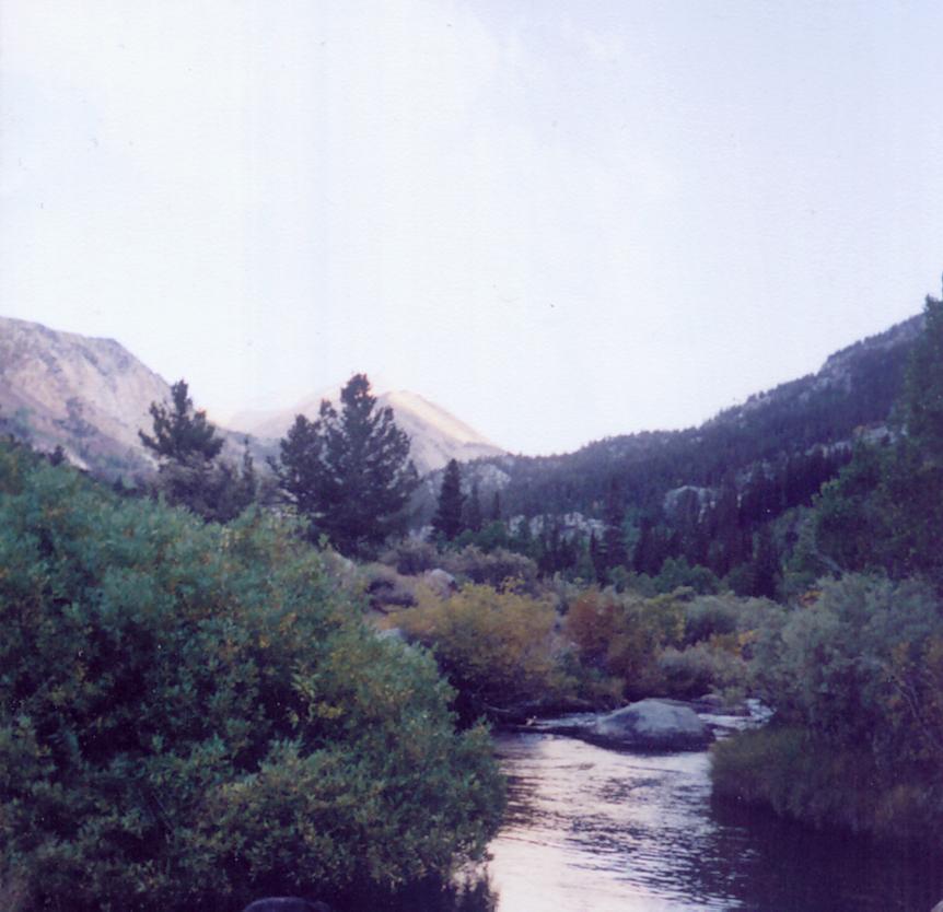 image39.jpg