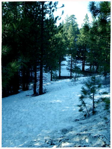 snow_march_15th_2.jpg